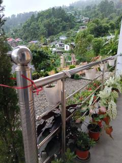 Rongo's Riverside Farm Stay - 5