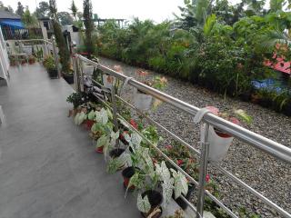 Rongo's Riverside Farm Stay - 4