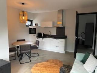 Apartment in Vrouwenpolder near Beach - 9