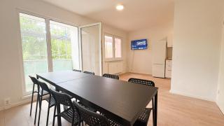 Monteurwohnungen mit TV, Internet, Parkplatz, Waschmaschine, Küche, Balkon, Restaurants und Supermarkt - Halle an der Saale - 1