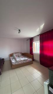 Casa Arghi Aroneanu - Aroneanu - 9
