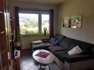 Holiday Stay with Terrace - Altenfeld - 9