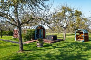 Orchard Farm Luxury Glamping and Campsite - Glastonbury - 7