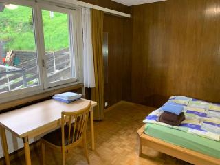 Ausgangspunkt zu Zermatt - 2