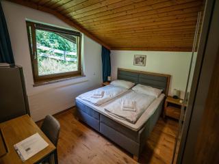 Double room in Saalfelden by the Steinernes Meer - 6