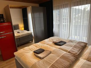 Double room in Saalfelden near Ski Slopes, cleaning included - 4