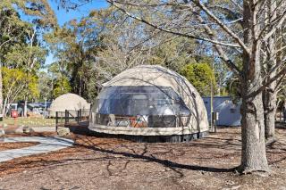 BIG4 Yarra Valley Park Lane Holiday Park - Healesville - 4