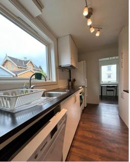 Alfred Apartment in Trondheim - 9