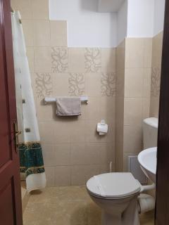 Hotel Dacor - 5