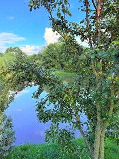 Restauracja i Noclegi Izba Rybacka w Krainie Wygasłych Wulkanów - 1