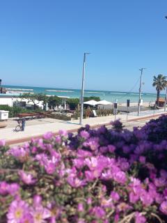 Il Canto del Mare Rooms & Suites - 8