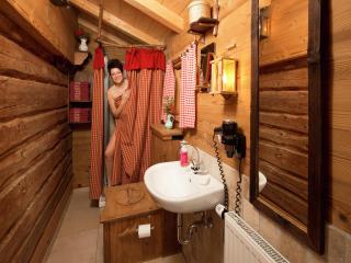 Eco-friendly chalet near the lake in Asten - Tittmoning - 9