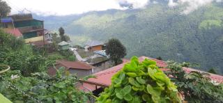 Mountain Valley Home Stay - Darjeeling - 2
