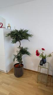 Luxuriöses Apartment mit Balkon - Fountain Suite Balcony - 6