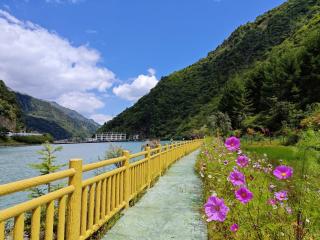 Summergarden Hotel - 1