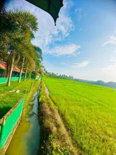 Nildiya hotel - - 3