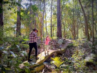 Shangri-La! Secluded & Lush Country Property - 8