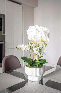 Bright 2 Bedroom 2 Bathroom Condo with Balcony Downtown Toronto - 2