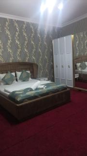 SafaraSofii Hotel - Baku - 9