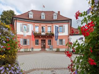 Spacious Apartment near Forest in Bad Dürrheim - Bad Dürrheim - 9