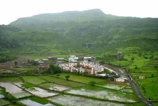 Marigold Bungalow - 8