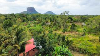 Sigiri Sandilu Homestay - 5