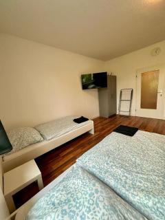 Geräumiges 1-Zimmer Appartement nähe Hamburg für bis zu 3 Personen - - 0