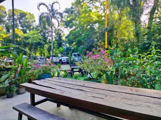 The Doctor's Stay - Kuching - 8