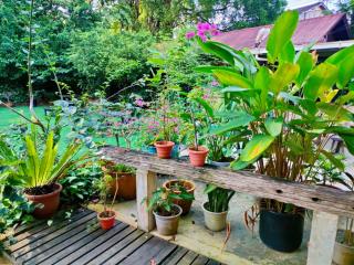 The Doctor's Stay - Kuching - 7