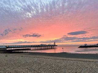 Stunning 1-Bed Flat w Seaview Garden Pet Friendly - 8