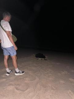 Sea Turtles Guest House #2 - Ras al Hadd - 3
