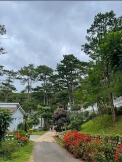 Luxury villas Tuyen lam lake view - 5