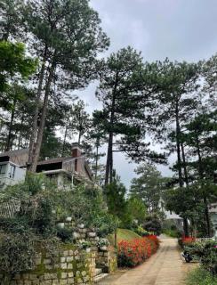 Luxury villas Tuyen lam lake view - 2