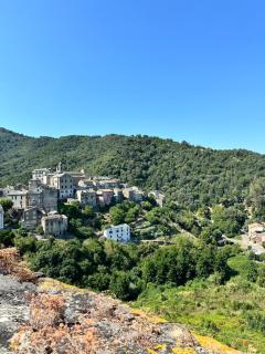 Charming apartment in Corsican Village - Vescovato - 9