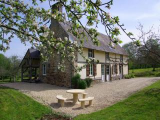 Peaceful Countryside Home - Isigny-le-Buat - 9