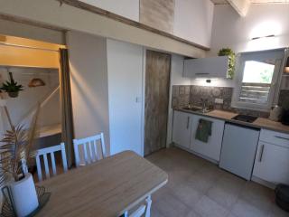 Charming studio in an exceptional equestrian farm - Camps-la-Source - 5