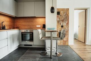 Modern apartment in Rõuge - Rõuge - 8