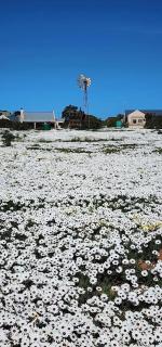Capri Langebaan - No loadshedding - 9