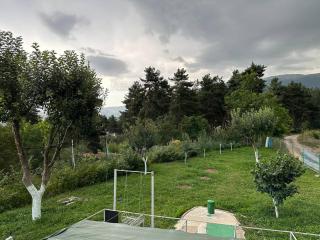 Forest house near Boo park - Vanadzor - 4