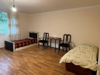 Forest house near Boo park - Vanadzor - 1