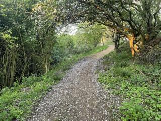 Sunset Cottage - Filey - 1