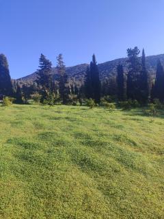In Our Garden Sardinia La Casina Rurale CIN3323 - 6