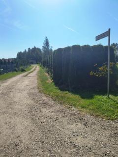 Leśna Aura - 8