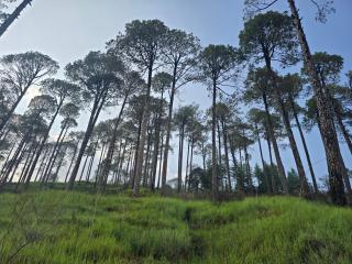 Lè Nest Residences - 4