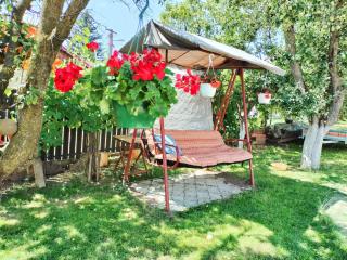 Apartament Vica - 2