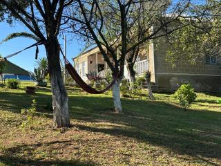 Chelo Guest House - 1