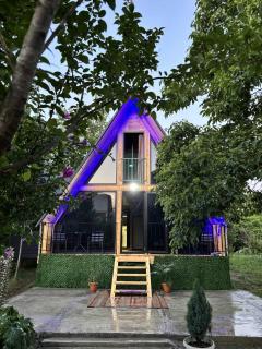 house milena - Kobuleti - 0