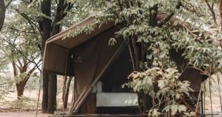 Hideaways Camelthorn Bush Camp, Greater Moremi - 0