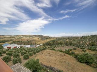 Holiday Home Villanueva near Hiking Trails - Villanueva de San Juan - 9