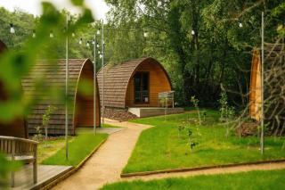 Adventure Parc - Dolgarrog - 6